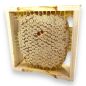 Preview: Holzrähmchen für Wabenhonig 10 x 10 in Teilen!
