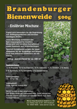 Brandenburger Bienenweide - einjährig