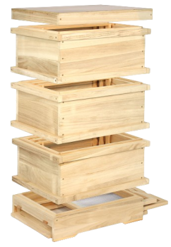 Taunus-Zander Holzmagazinbeute m. Holzdeckel