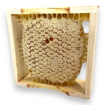 Holzrähmchen für Wabenhonig 10 x 10 mit Holzstreifen fertig gebaut!