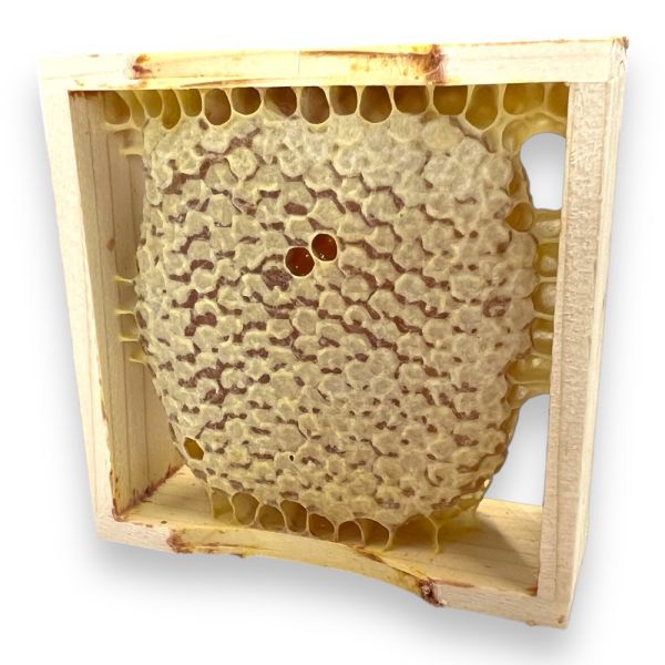 Holzrähmchen für Wabenhonig 10 x 10 mit Holzstreifen fertig gebaut!