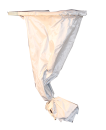 Schwarmfangbeutel